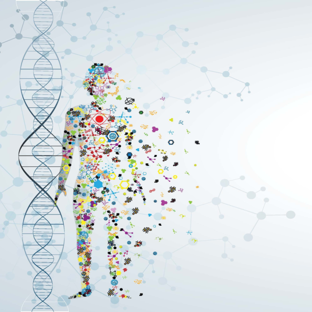 Molecule body concept of the human DNA